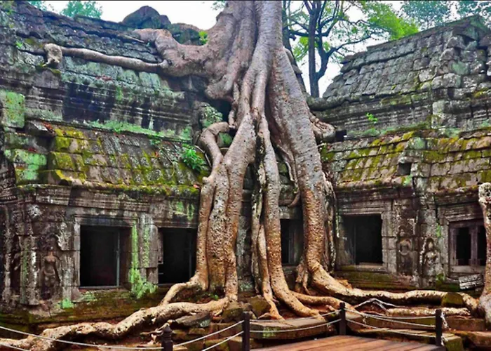 The Community - 4* Siem Reap